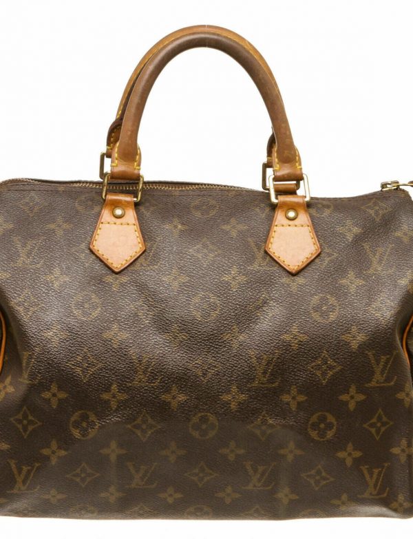 Louis Vuitton Monogram Speedy Bag